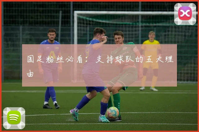 国足粉丝必看:支持球队的五大理由